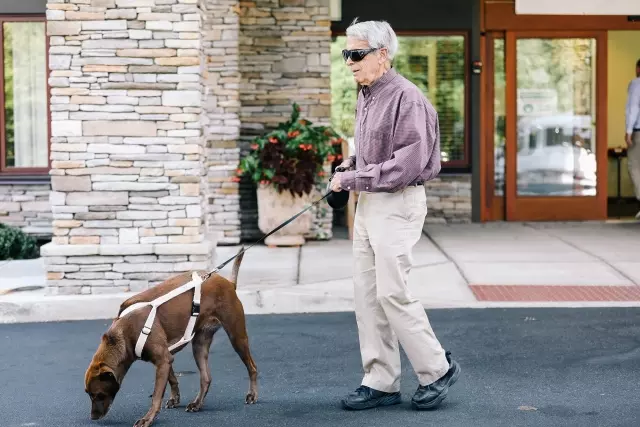 Senior man walking dog