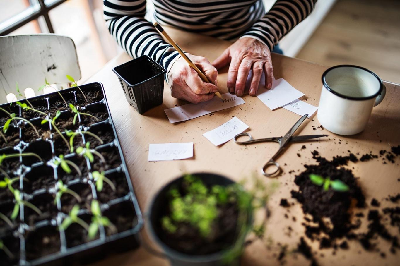 Senior woman gardening