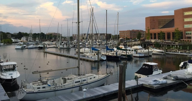 Marina in Stamford, CT