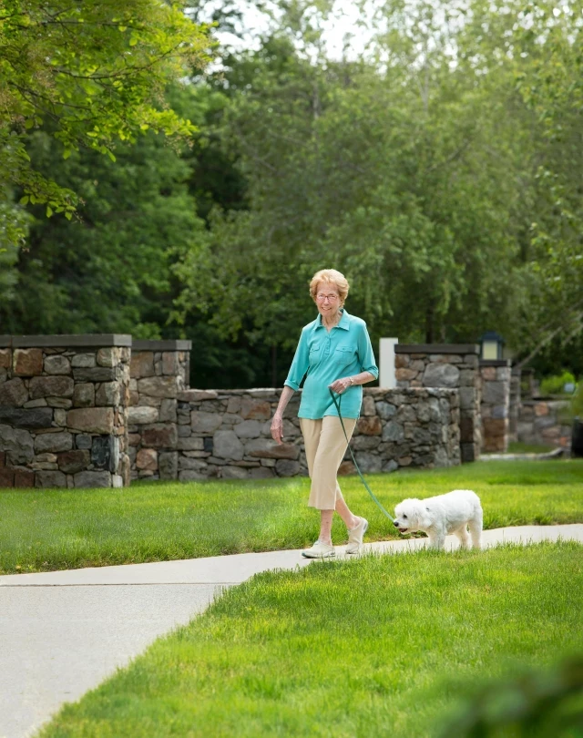 Senior woman walking dog