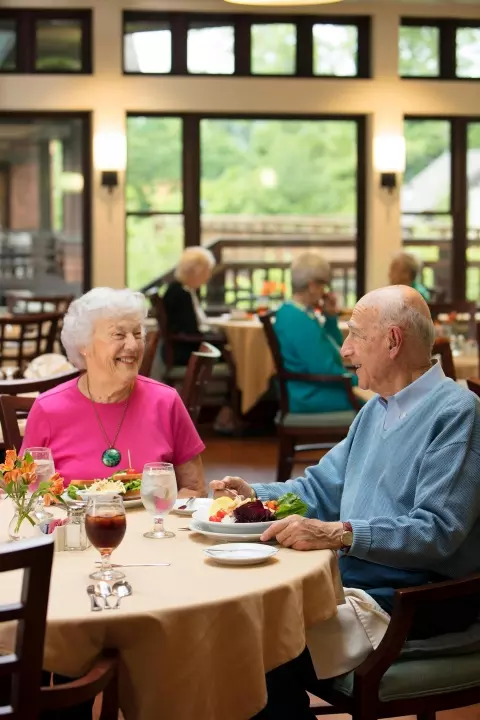 Senior couple having dinner