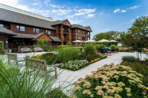 Edgehill rooftop garden