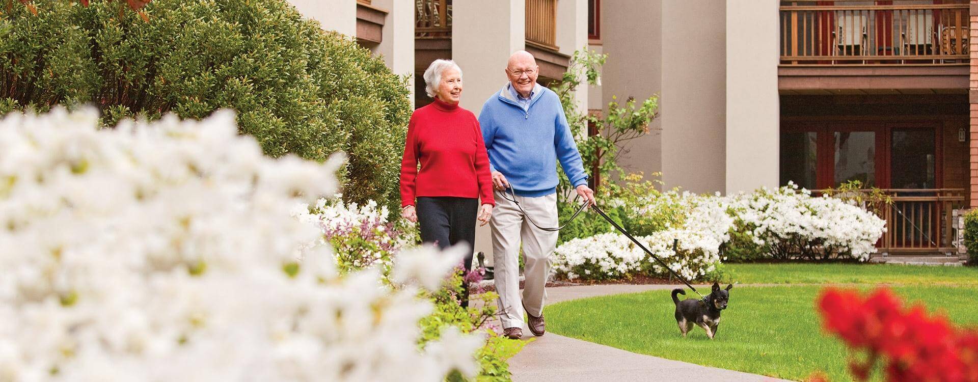 Senior man and senior woman walking dog