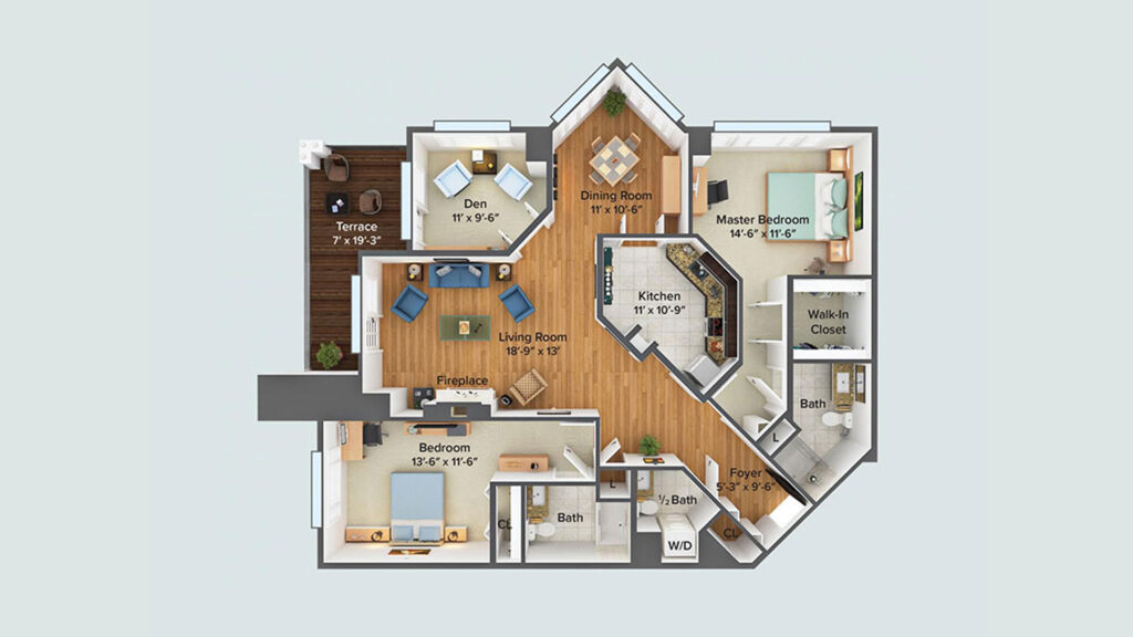 The Copper Beech