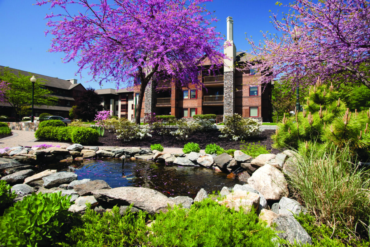A landscaped pond surrounded by rocks and greenery sits in front of Edgehill’s residential building on a sunny spring day. Blooming pink flowering trees and manicured gardens frame the peaceful outdoor setting beneath a clear blue sky.