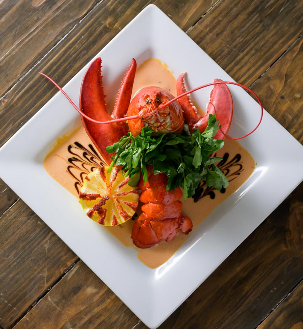 Gourmet fresh lobster creme sauce dish